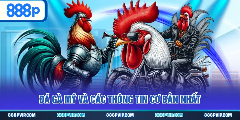 Đá gà Mỹ và các thông tin cơ bản nhất